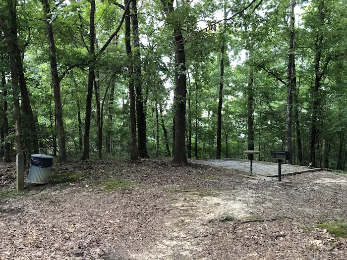 CLEAR CREEK (MS) (recgovnpsdata) Picture 10