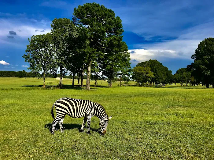 John Kyle State Park Campground Picture 10
