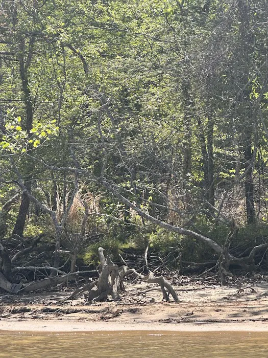 John Kyle State Park Campground Picture 8