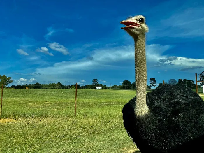 John Kyle State Park Campground Picture 2