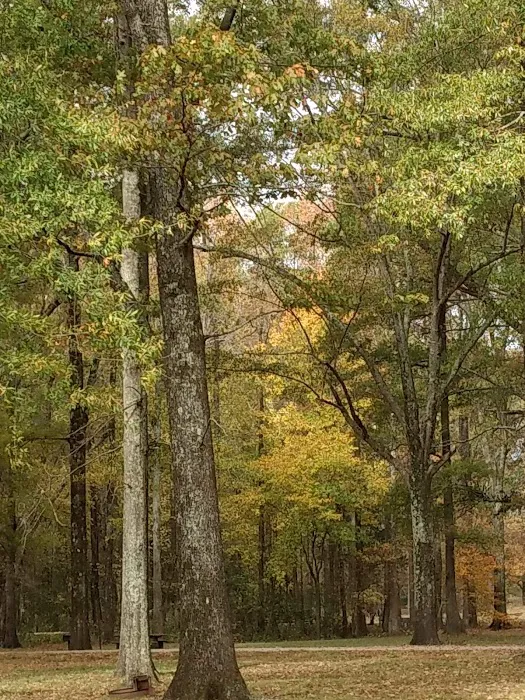 Sleepy Bend Campground Picture 4
