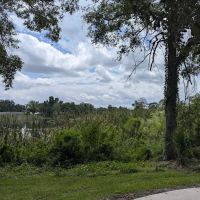 Perch Lake Pavilion ico