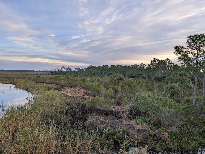 Buck Lake Group Campsite Picture 3