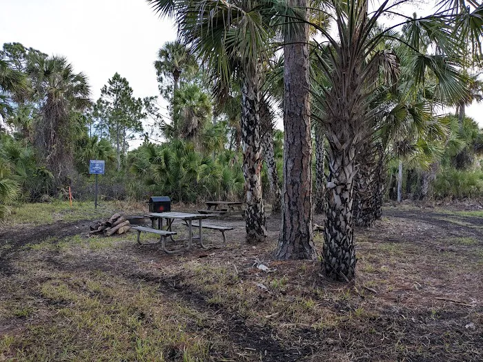 Buck Lake Group Campsite Picture 4