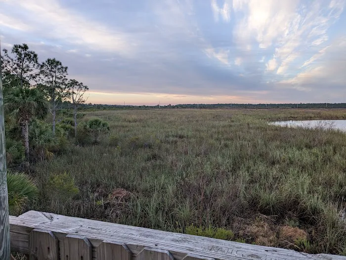 Buck Lake Group Campsite Picture 2