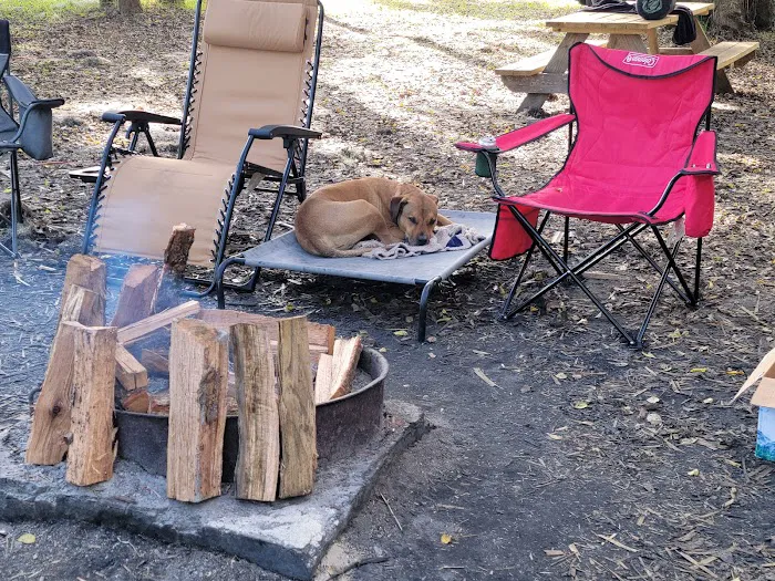 Group Camp - St. Johns River Water Management District Picture 1