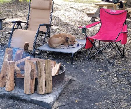 Group Camp - St. Johns River Water Management District