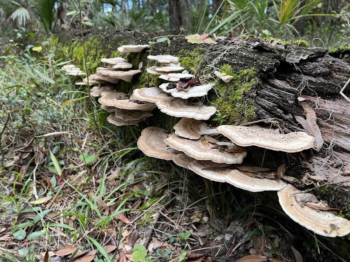 Wiley Dykes Sr. Camp Picture 2