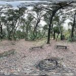 Wiley Dykes Sr. Camp