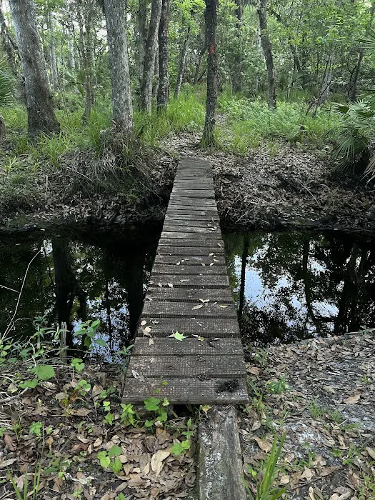 Wiley Dykes Sr. Camp Picture 5