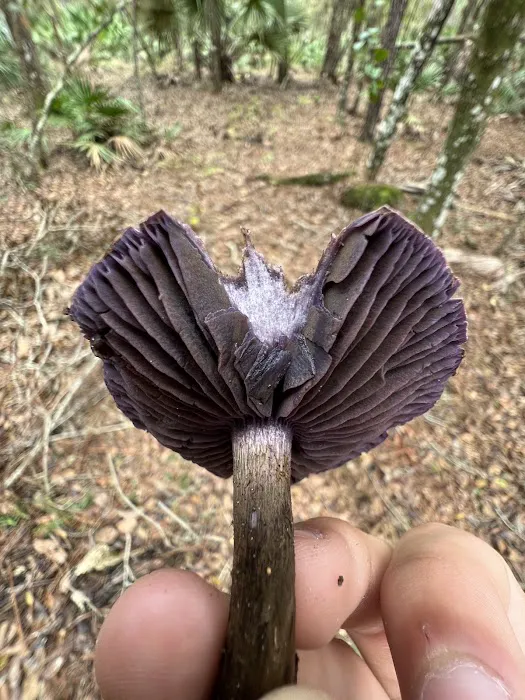 Wiley Dykes Sr. Camp Picture 3