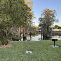 Encore Winter Garden ico