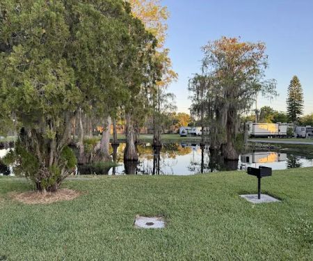 Encore Winter Garden