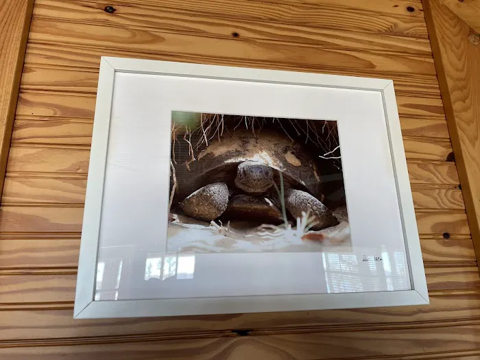 Lake Louisa State Park Cabins Picture 6