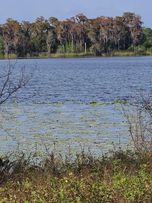 Lake Louisa State Park Campground - Loop A Picture 2