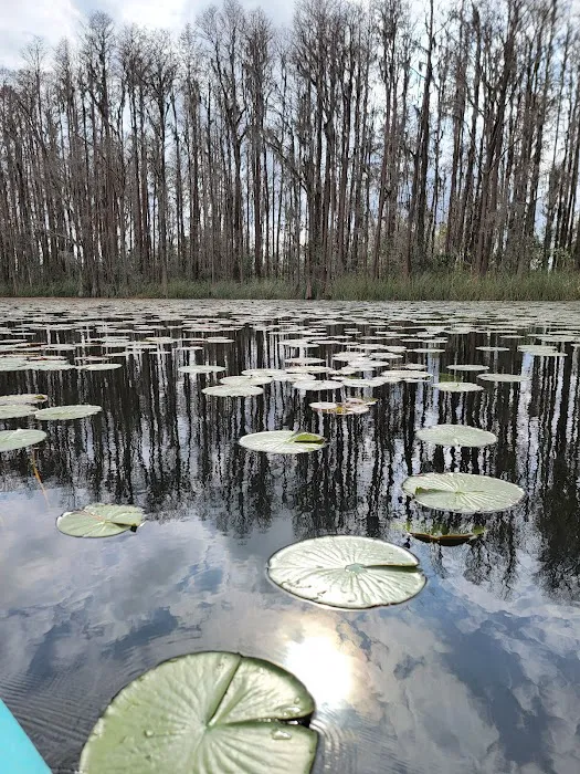 Lake Louisa State Park Campground - Loop A Picture 3