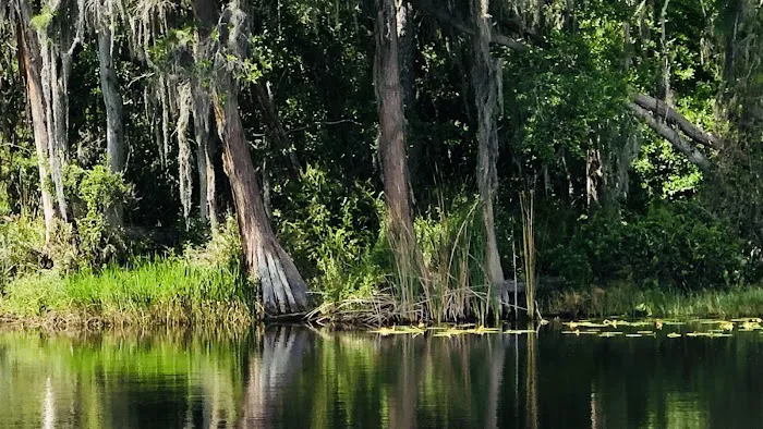 Lake Louisa State Park Campground - Loop A Picture 7