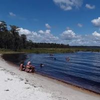 Lake Louisa State Park Campground - Loop A ico