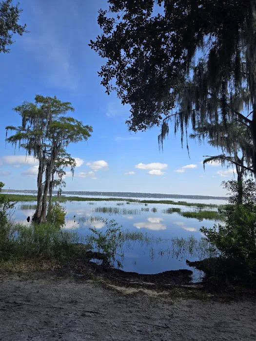 Lake Louisa State Park Campground - Loop A Picture 5