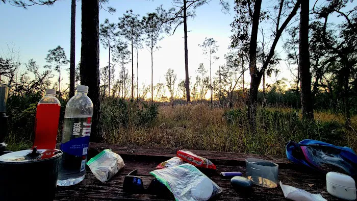 FNST High Bluff Camp Picture 1