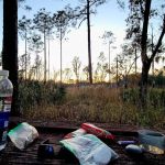 FNST High Bluff Camp