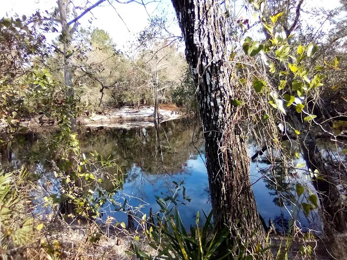 FNST High Bluff Camp Picture 9