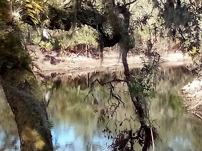 FNST High Bluff Camp Picture 6