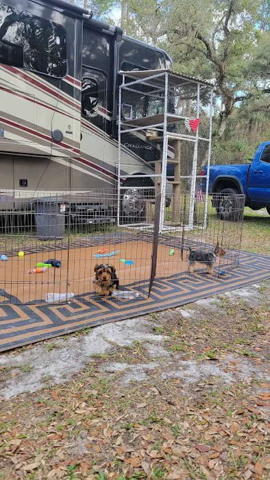 Smokey Acres Picture 7