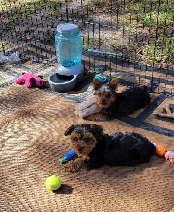 Smokey Acres Picture 8