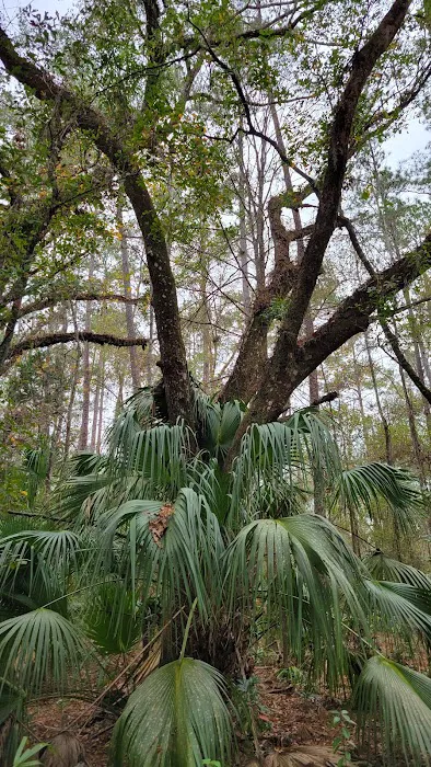 Smokey Acres Picture 6