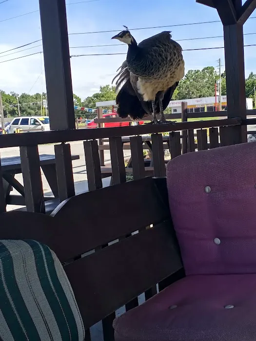 Frontier Campground Picture 1