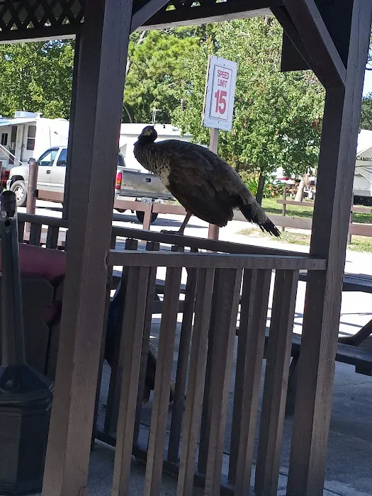 Frontier Campground Picture 2