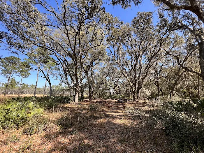 FNST Foster Bridge Campsite (Backcountry) Picture 5