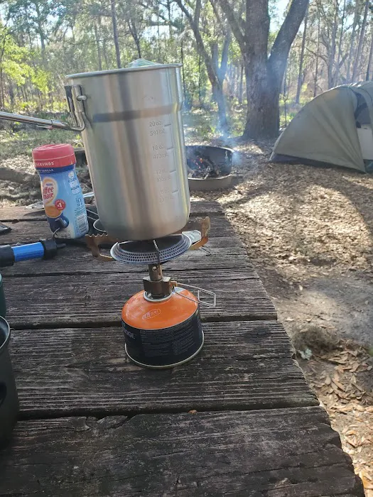 FNST Foster Bridge Campsite (Backcountry) Picture 6