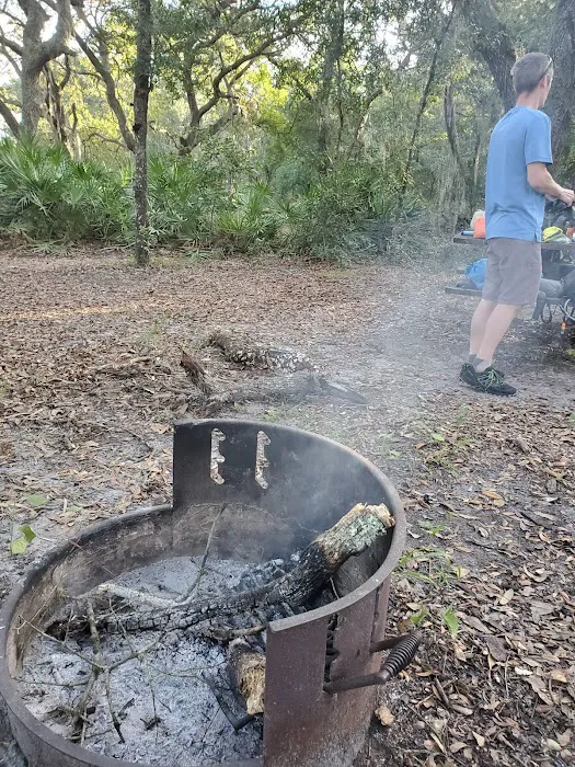 FNST Foster Bridge Campsite (Backcountry) Picture 3