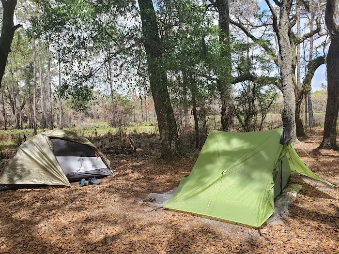 FNST Foster Bridge Campsite (Backcountry) Picture 4