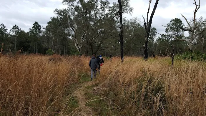 FNST Foster Bridge Campsite (Backcountry) Picture 1