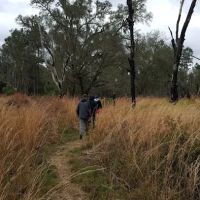 FNST Foster Bridge Campsite (Backcountry) ico