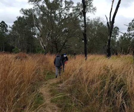 FNST Foster Bridge Campsite (Backcountry)
