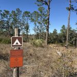 SWFWMD Concession Stand Campsite