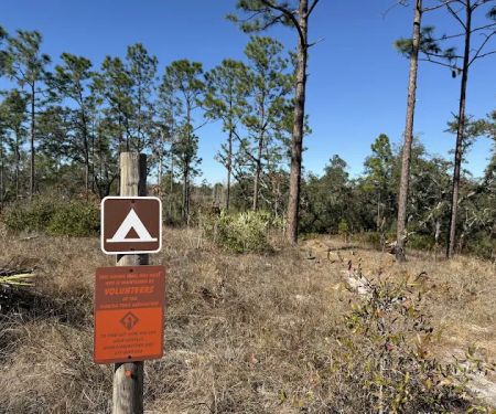 SWFWMD Concession Stand Campsite