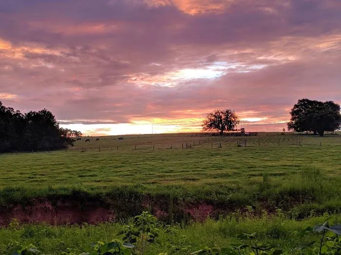 Florida Sand Music Ranch Picture 1