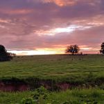 Florida Sand Music Ranch