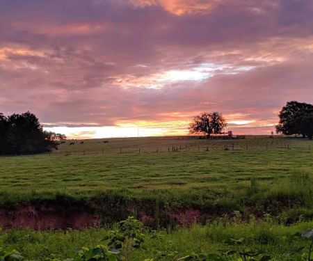 Florida Sand Music Ranch