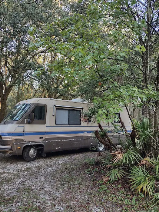 SWFWMD Cumpressco Campground Picture 7