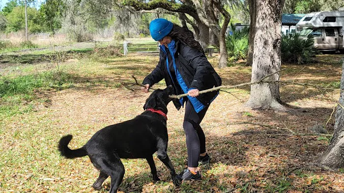 SWFWMD Cumpressco Campground Picture 4