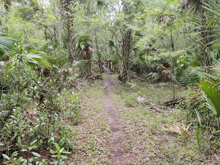 SWFWMD Mott Hammock Camp Picture 3