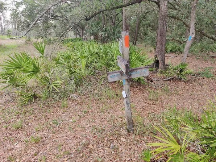 SWFWMD Mott Hammock Camp Picture 4