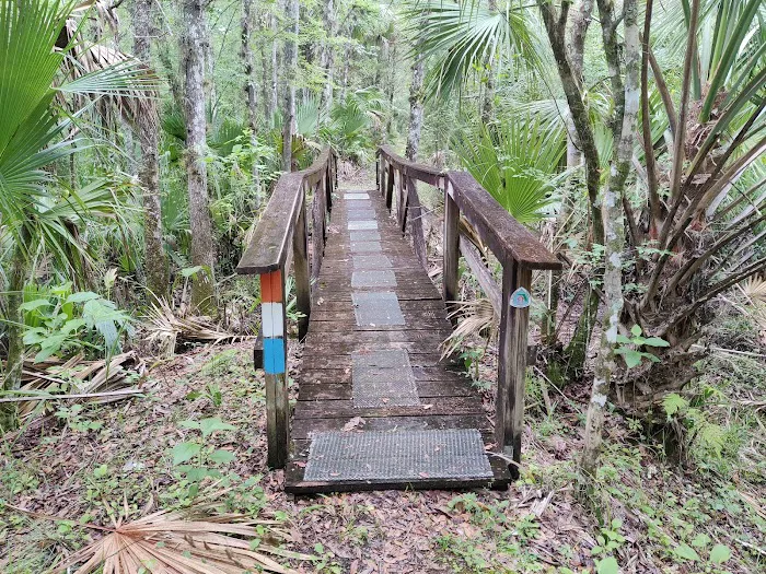 SWFWMD Mott Hammock Camp Picture 10