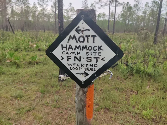 SWFWMD Mott Hammock Camp Picture 9